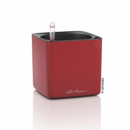 LECHUZA CUBE Premium 16 High Gloss | Κασπώ Αυτοποτισμού