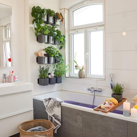 LECHUZA GREEN WALL HOME KIT | Κάθετος Κήπος Αυτοποτισμού