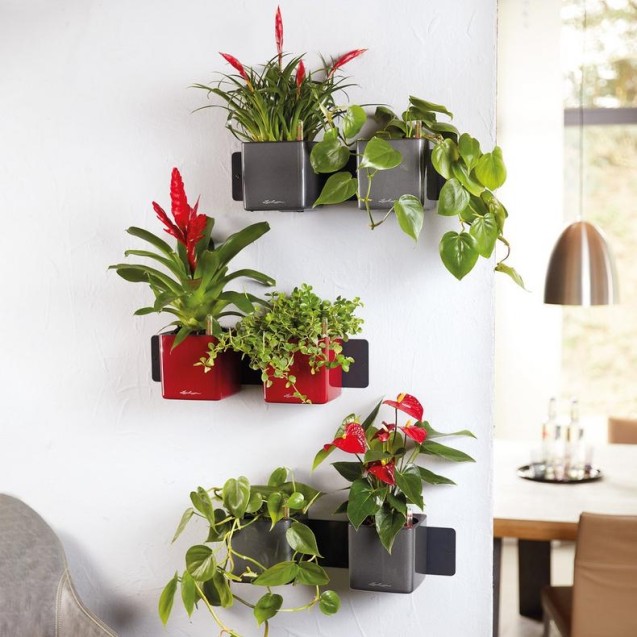 LECHUZA GREEN WALL HOME KIT | Κάθετος Κήπος Αυτοποτισμού