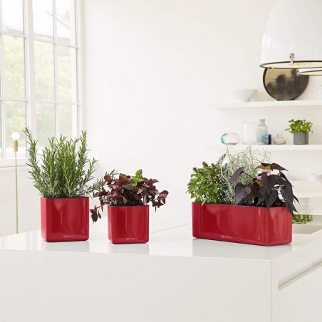 LECHUZA CUBE Premium Triple High Gloss | Γλάστρα Αυτοποτισμού