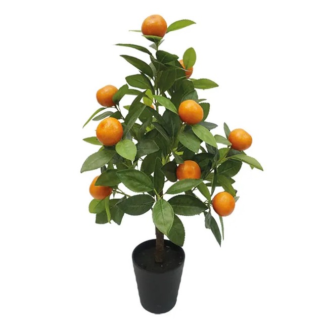 ΔΕΝΤΡΟ ΠΟΡΤΟΚΑΛΙΑ ΜΙΚΡΗ ΣΕ ΓΛΑΣΤΡΑ - Υ75cm 2/ΚΙΒ