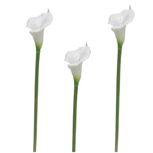 ΚΛΑΔΙ ΚΑΛΛΑΣ PVC ΛΕΥΚΟ ΜΟΝO Y70cm 24/240KIB