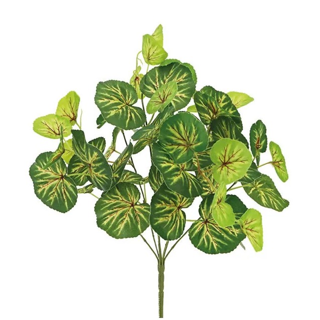 ΡΙΖΑ ΦΥΛΛΟ ΠΡΑΣΙΝΟ ΒΙΓΩΝΙΑ Χ7 50lvs Υ45cm 48/288ΚΙΒ