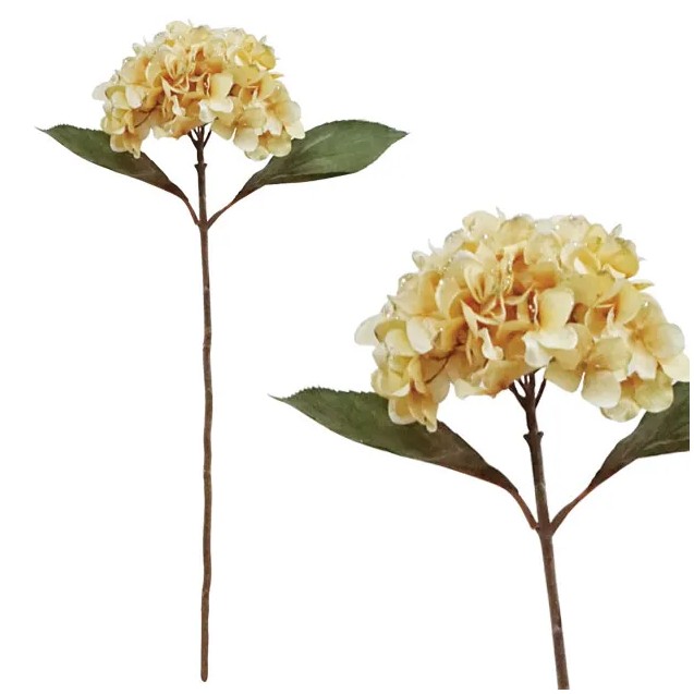 ΧΡΙΣΤΟΥΓ. ΚΛΑΔΙ ΟΡΤΑΝΣΙΑ ΜΠΕΖ 65cm. 12/120 ΚΙΒ