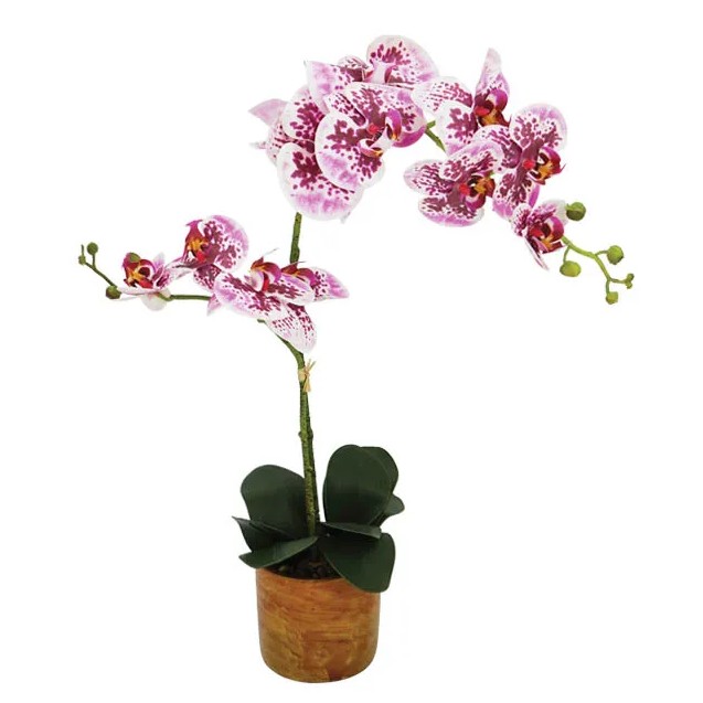 ΟΡΧΙΔΕΑ ΠΕΤΑΛΟΥΔΑ x2 ΜΩΒ/ΡΟΖ REAL TOUCH ΣΕ ΚΑΣΠΩ Υ63cm 1/6ΚΙΒ
