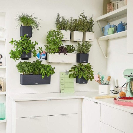 LECHUZA GREEN WALL HOME KIT | Κάθετος Κήπος Αυτοποτισμού
