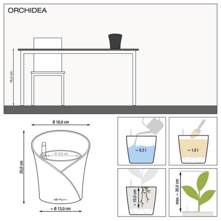 ECHUZA ORCHIDEA | Γλάστρα Αυτοποτισμού για Ορχιδέες