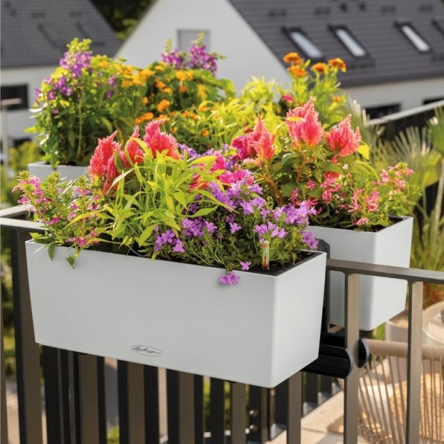LECHUZA BALCONERA Color 40 | Ζαρντινιέρα Αυτοποτισμού