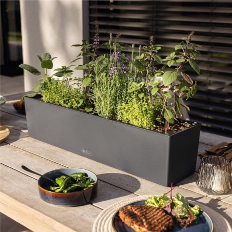 LECHUZA BALCONERA Color 80 | Ζαρντινιέρα Αυτοποτισμού
