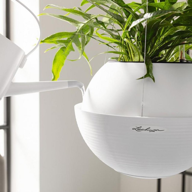 LECHUZA BOLA Color 23 | Γλάστρα Αυτοποτισμού