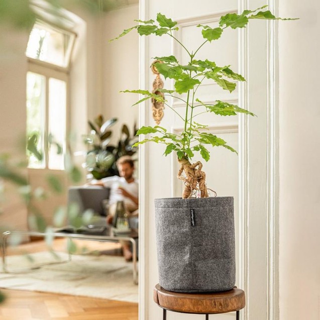 LECHUZA TRENDCOVER 23 CORK | Γλάστρα Αυτοποτισμού