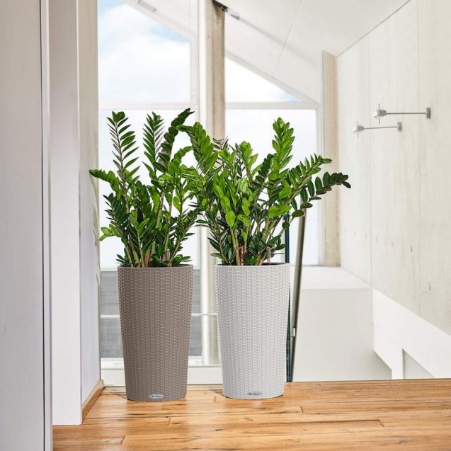 LECHUZA CILINDRO Cottage 32 | Γλάστρα Αυτοποτισμού