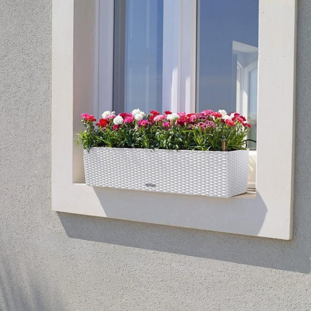 LECHUZA BALCONERA Cottage 80 | Ζαρντινιέρα Αυτοποτισμού