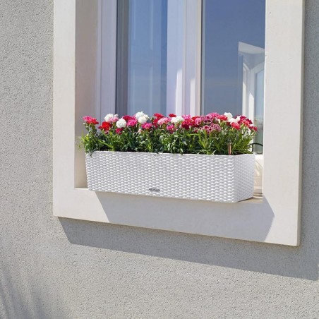 LECHUZA BALCONERA Cottage 80 | Ζαρντινιέρα Αυτοποτισμού