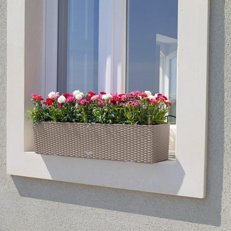 LECHUZA BALCONERA Cottage 100 | Ζαρντινιέρα Αυτοποτισμού