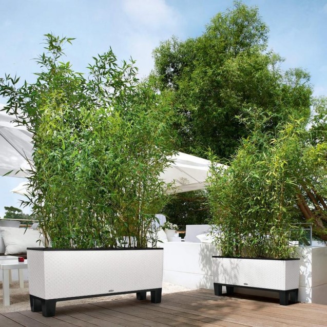 LECHUZA TRIO Cottage 40 | Μεγάλη Ζαρντινιέρα Αυτοποτισμού