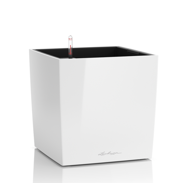 LECHUZA CUBE Premium 30 | Γλάστρα Αυτοποτισμού