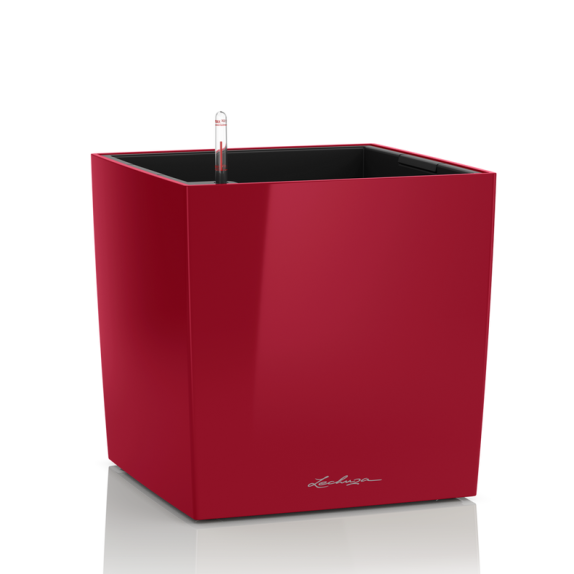 LECHUZA CUBE Premium 50 | Μεγάλη Γλάστρα Αυτοποτισμού