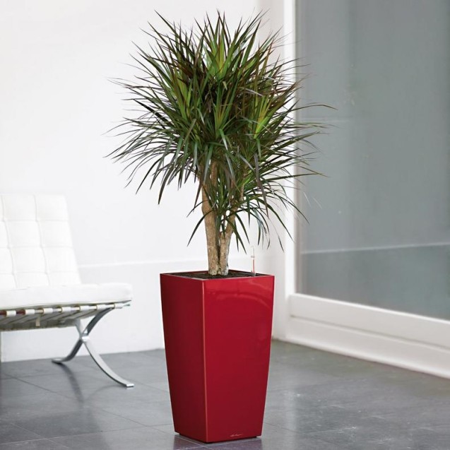 LECHUZA PREMIUM CUBICO 22 | Ψηλή Γλάστρα Αυτοποτισμού