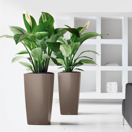 LECHUZA PREMIUM CUBICO 50 | Μεγάλη Ψηλή Γλάστρα Αυτοποτισμού
