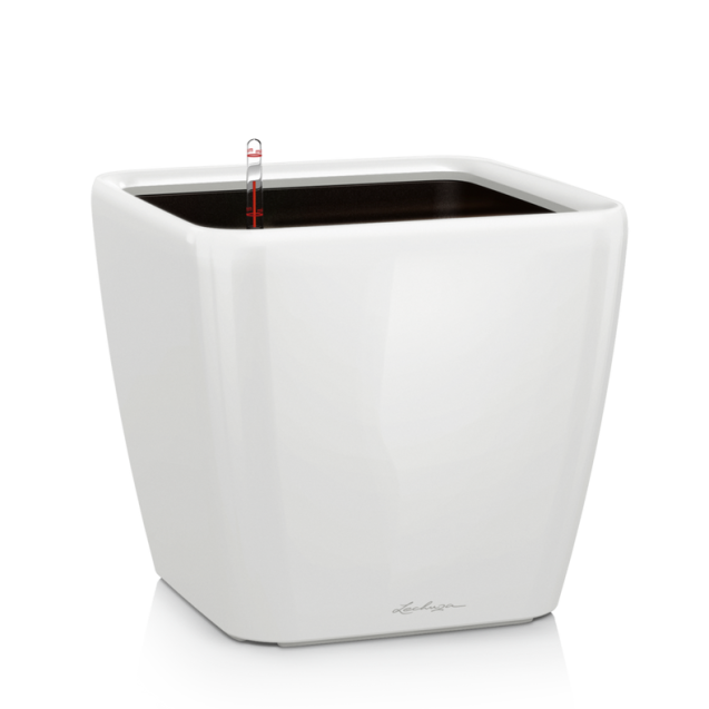 LECHUZA PREMIUM QUADRO LS 21 | Γλάστρα Αυτοποτισμού