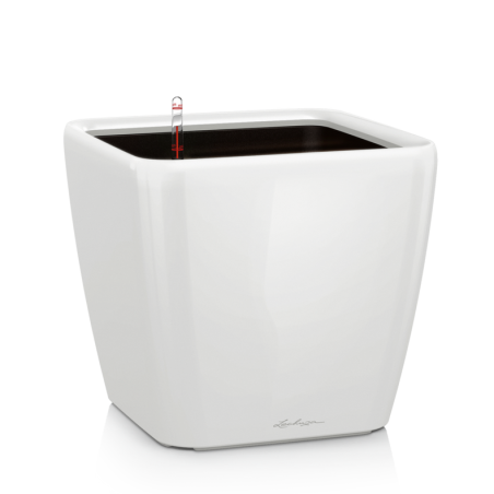 LECHUZA PREMIUM QUADRO LS 21 | Γλάστρα Αυτοποτισμού