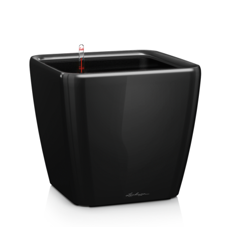 LECHUZA PREMIUM QUADRO LS 21 | Γλάστρα Αυτοποτισμού
