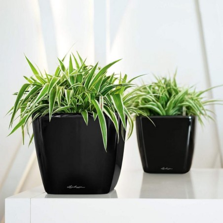 LECHUZA PREMIUM QUADRO LS 21 | Γλάστρα Αυτοποτισμού