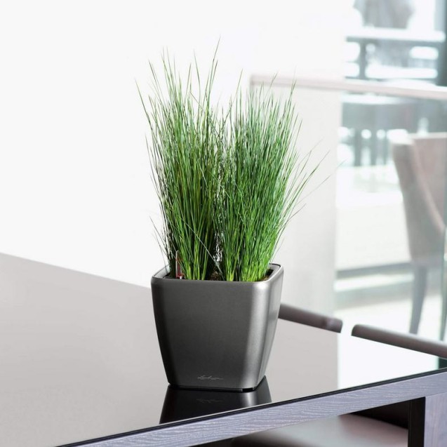 LECHUZA PREMIUM QUADRO LS 28 | Γλάστρα Αυτοποτισμού