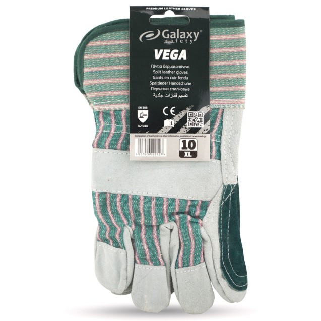 Galaxy Vega