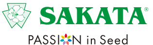 Sakata