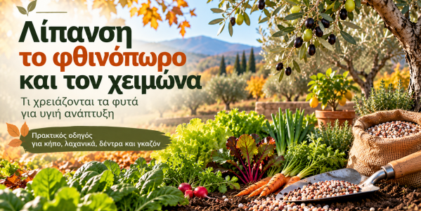 Λίπανση το φθινόπωρο και τον χειμώνα: Τι χρειάζονται τα φυτά