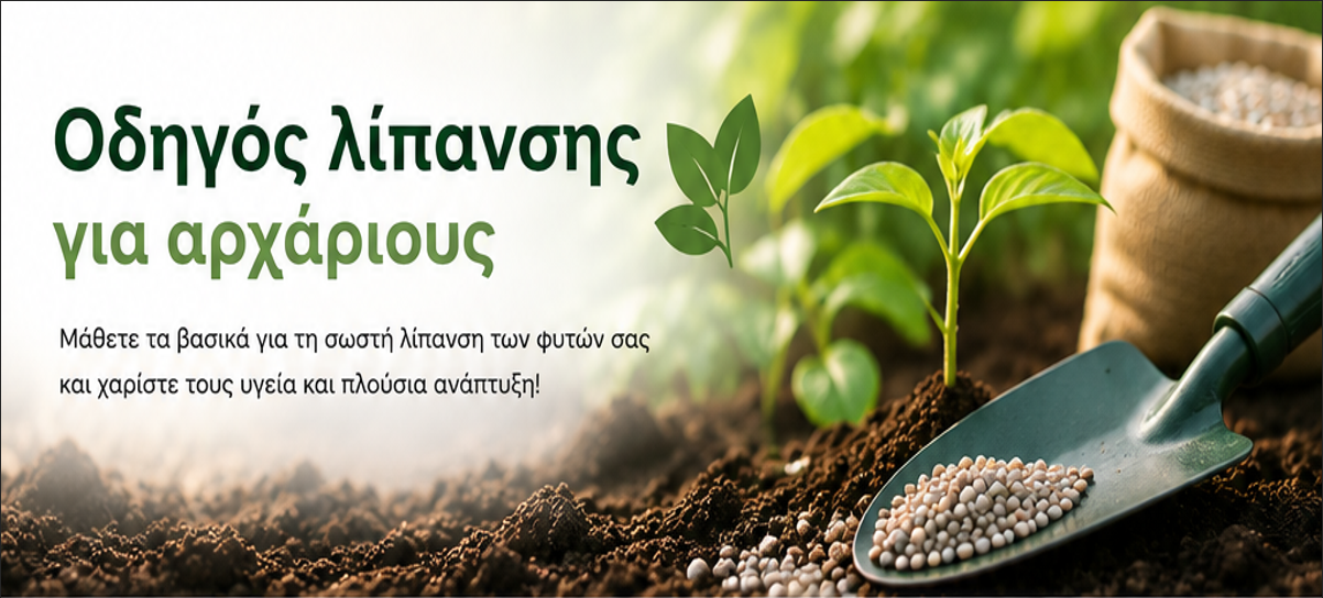 Οδηγός Λίπανσης για Αρχάριους